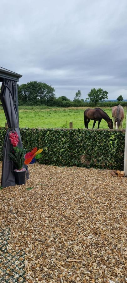 Boutique Country House Aldergrove Crumlin  Eksteriør billede