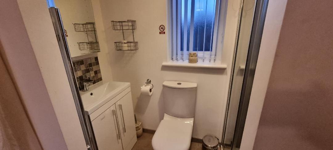 Boutique Country House Aldergrove Crumlin  Eksteriør billede
